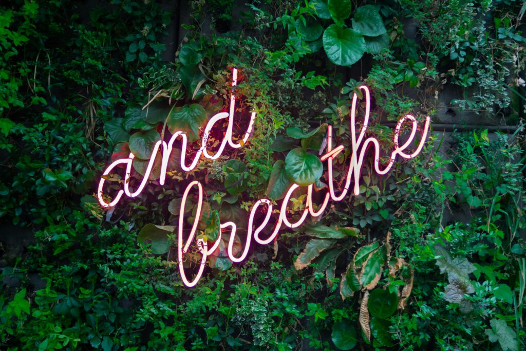 efeu-mit-neo-schild-and-breathe